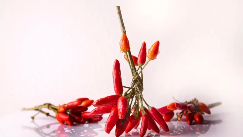Virde Chili aktywator 90 tabl.