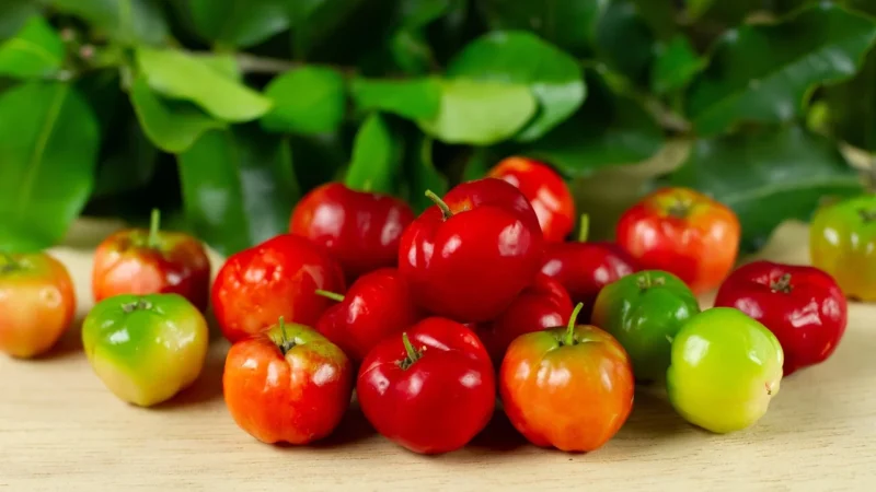 Vitafarm Acerola tabletki 250 szt