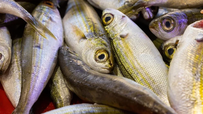 Witamina K2 MK-7 + D3 2000IU Vit E OMEGA-3 90kaps