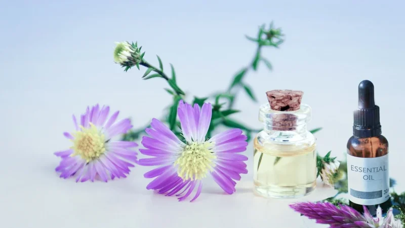 YaoMedica Zakotwiczona Myśl 50ml Nalewka Zmęczenie